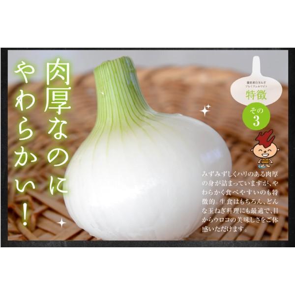 たまねぎ 白玉ねぎ 浜松篠原産 無選別 新白玉ねぎプレミアムホワイト 5kg 辛くない 芳醇な甘さとみずみずしさが魅力 送料無料 Shirotamanegi5kg 浜名湖産直マーケット 通販 Yahoo ショッピング