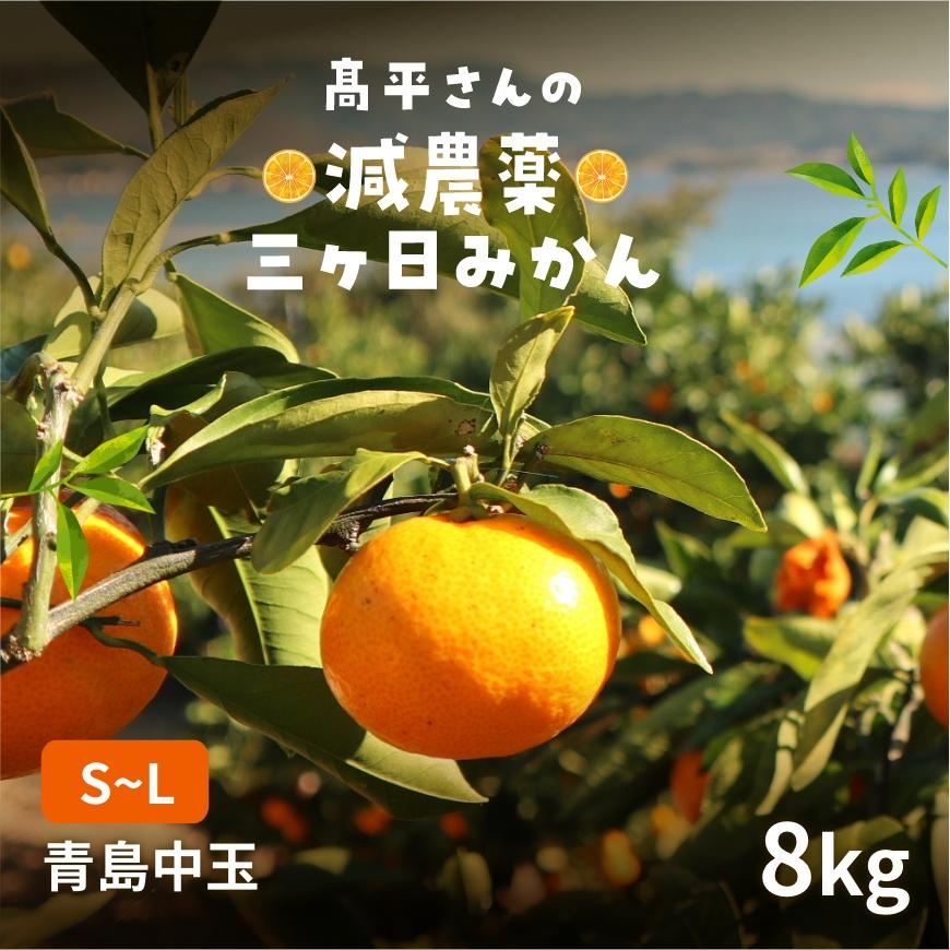 青島中玉S〜L 高平さんの減農薬 三ヶ日みかん 8kg : 浜名湖産直