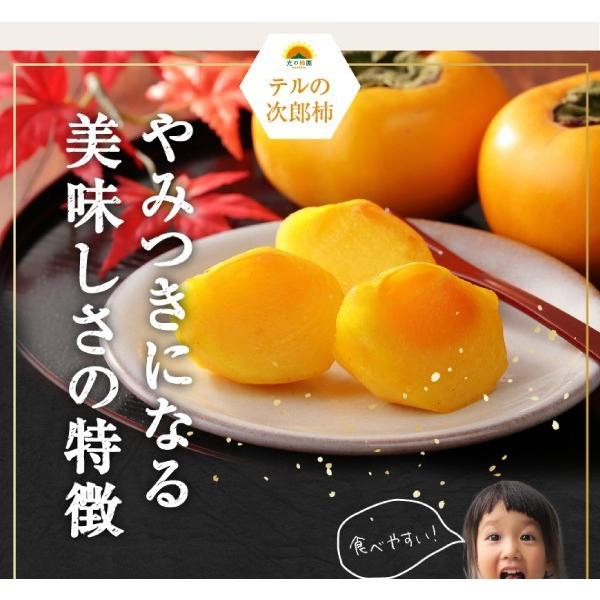 好評継続中 今だけ限定価格 遠州浜北大平産 テルの次郎柿 訳あり品 約6 5キロ L 3l 24 32玉 送料無料 平均糖度は16度 舌にからみつくような濃密な甘みの次郎柿 心からご満足いただける絶品の次郎柿です お得な訳あり品 絶妙 Www Dialoguecapital Com