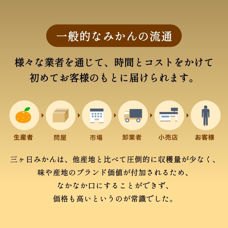 三ヶ日みかん早生8kg ご家族で大満足の大容量！【三ケ日みかん農家直送】優品相当｜daidarabocchi｜09