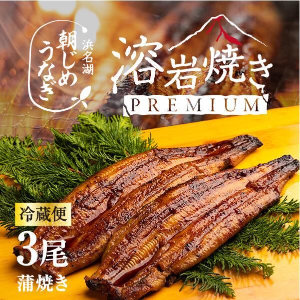 うなぎ 浜名湖産 朝じめうなぎ 溶岩焼き 蒲焼き 3尾 【冷蔵便】