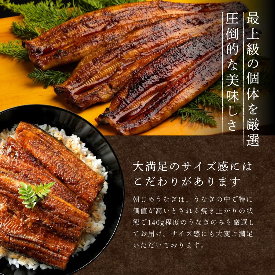 うなぎ 浜名湖産 朝じめうなぎ 溶岩焼き 蒲焼き 3尾 【冷蔵便】