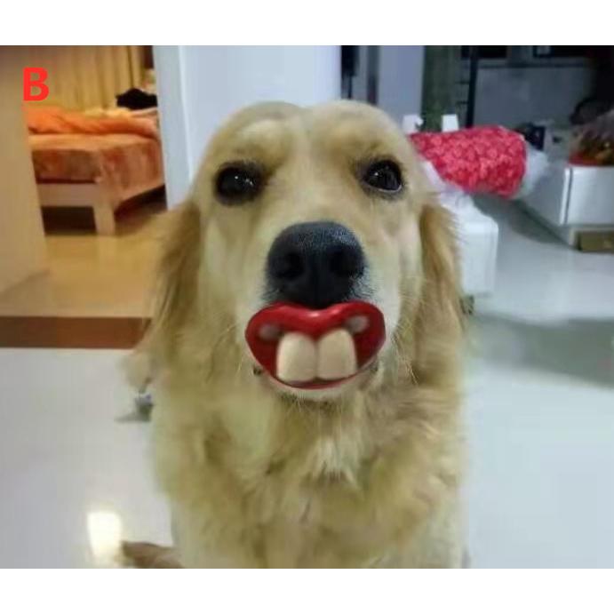 犬おしゃぶり 悪戯 写真撮影 ２枚歯 玩具 動物 おもちゃ 悪戯 犬 全般 ジーニアス フリーサイズ 赤ちゃん おすすめ かわいい ２枚歯 プレゼント 送料無料 Omocya004 ダイエーコーポレーション 通販 Yahoo ショッピング