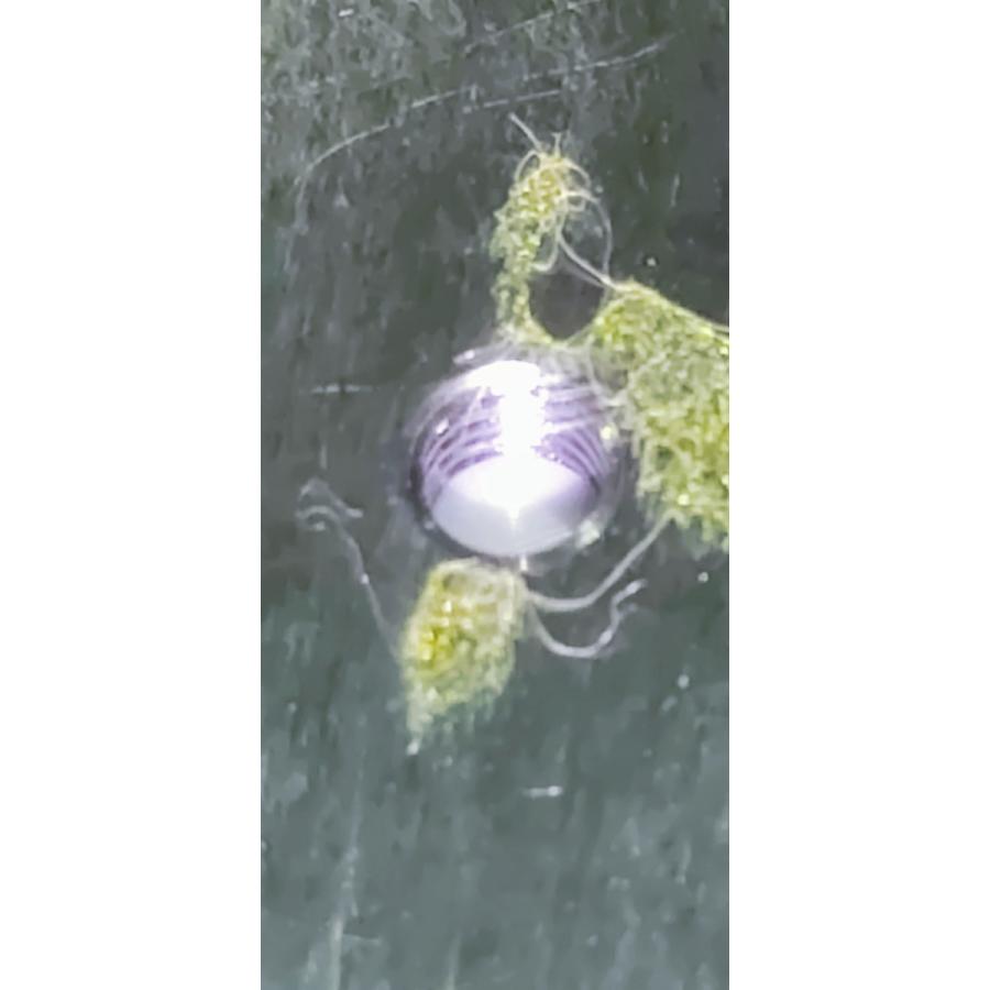 ネジゲージ　OSG　M3.5　P0.6　IRII　中古品　NO,145 | OSG | 01