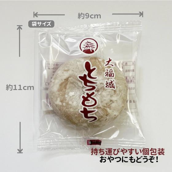 とちもち とち餅 1個 栃の実大福 粒餡入り : とちもち本舗大福城