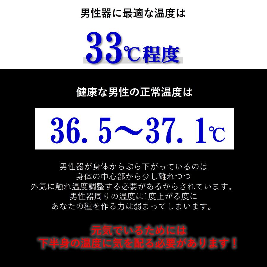 ブリーフ メンズ 分離型 ゾウさんパンツ ぞうさん 先開き セクシー セパレート ナイロン 薄い おもしろ 光沢 収納 ストレッチ 男性下着｜daifukushop｜04