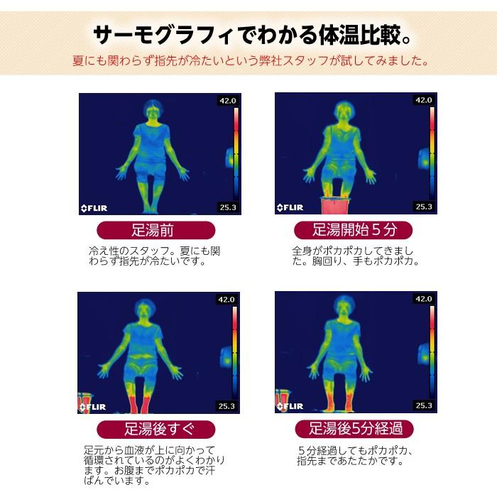 （全国送料無料）炭酸足湯入浴料「贅沢JUYAKU」（100回セット） 足浴料 足湯用 フットケア 温浴 半身浴 アロマ ティーツリー 入浴剤 冷え性 
