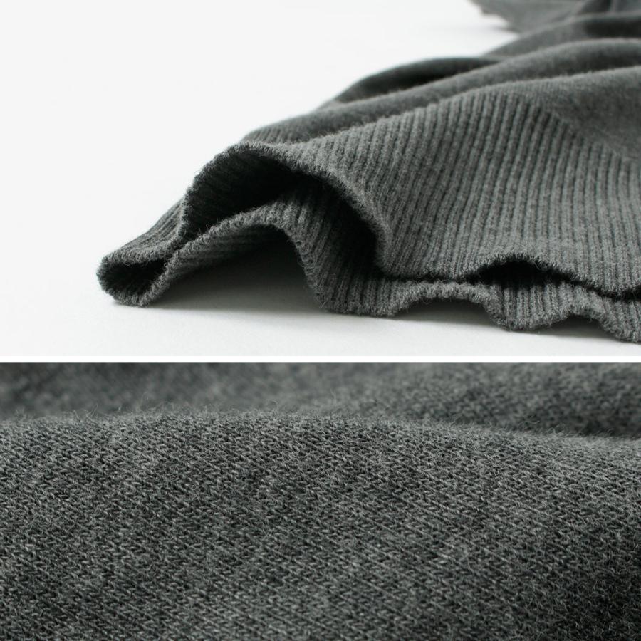 gicipi（ジチピ） ANANAS アナナス タートルネック ジャストフィット