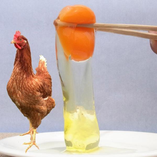 特価キャンペーン 醍醐卵 ｌサイズ80個入り コクと旨みが違います たまご 玉子