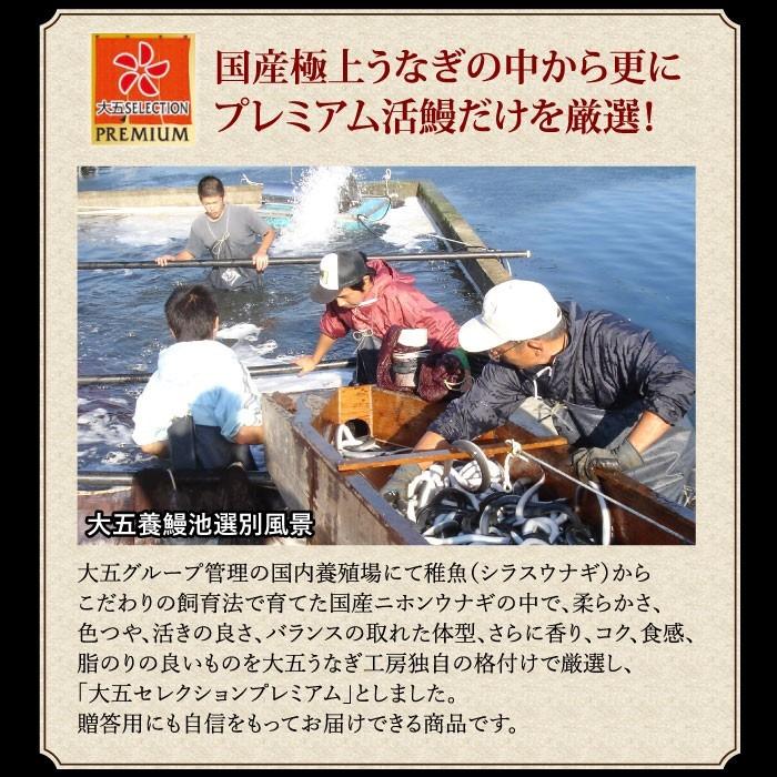国産うなぎ蒲焼2尾＆重箱セット 高級ギフト 結婚祝い 内祝い 御礼 誕生日 成人の日 お祝い 重箱 冷凍 | 大五うなぎ工房 | 10
