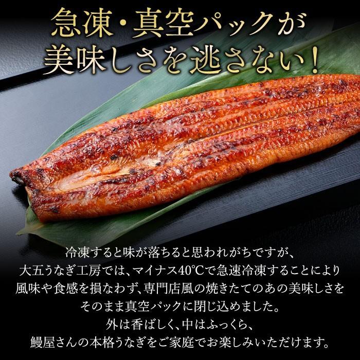 国産うなぎ蒲焼2尾＆重箱セット 高級ギフト 結婚祝い 内祝い 御礼 誕生日 成人の日 お祝い 重箱 冷凍 | 大五うなぎ工房 | 11