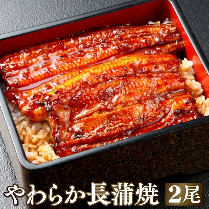 国産うなぎ蒲焼2尾＆重箱セット 高級ギフト 結婚祝い 内祝い 御礼 誕生日 成人の日 お祝い 重箱 冷凍 | 大五うなぎ工房 | 03