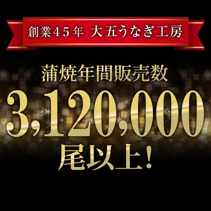 国産うなぎ蒲焼2尾＆重箱セット 高級ギフト 結婚祝い 内祝い 御礼 誕生日 成人の日 お祝い 重箱 冷凍 | 大五うなぎ工房 | 04