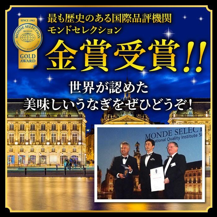 国産うなぎ蒲焼2尾＆重箱セット 高級ギフト 結婚祝い 内祝い 御礼 誕生日 成人の日 お祝い 重箱 冷凍 | 大五うなぎ工房 | 05