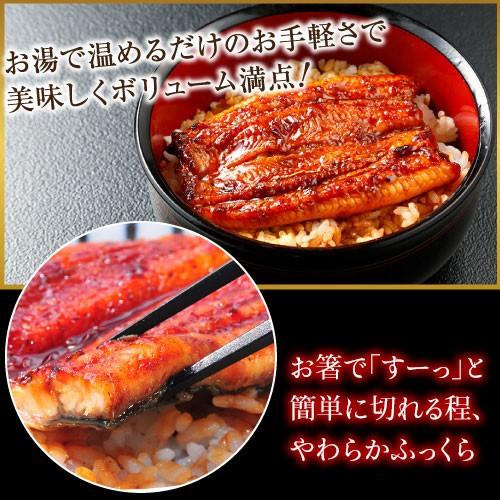 国産うなぎ蒲焼2尾＆重箱セット 高級ギフト 結婚祝い 内祝い 御礼 誕生日 成人の日 お祝い 重箱 冷凍 | 大五うなぎ工房 | 08