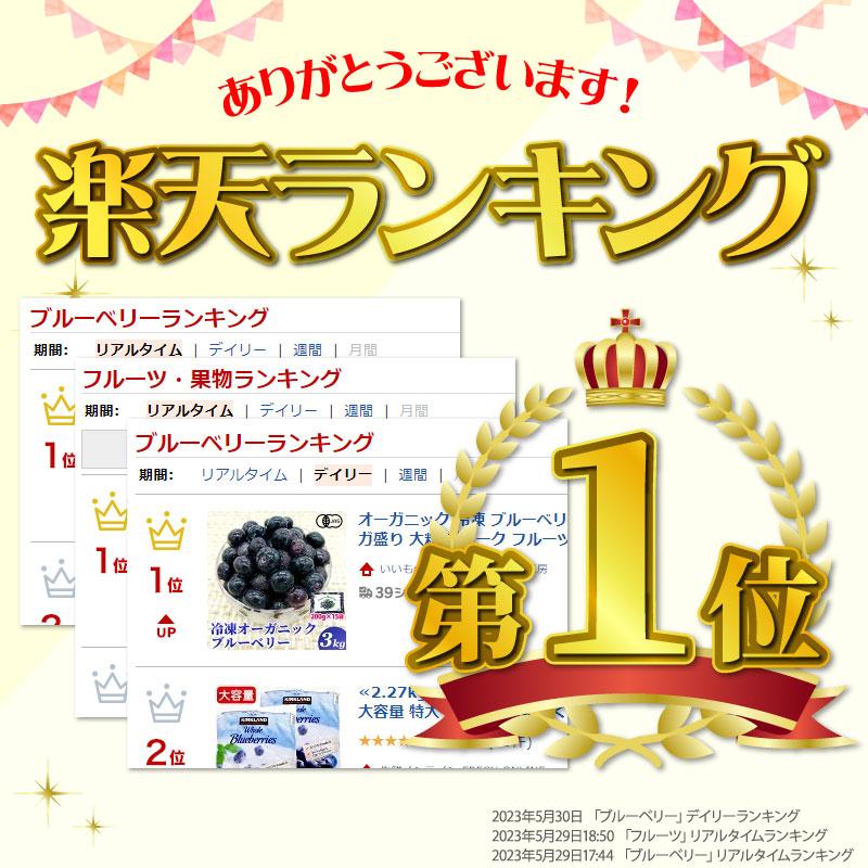 オーガニック冷凍ブルーベリー 3kg (200g×15袋) 無農薬 業務用 有機JAS