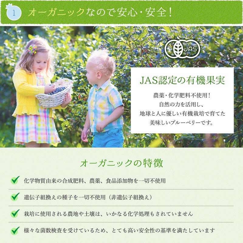 冷凍ブルーベリー 無農薬 3kg (200g×15袋) オーガニック ブルーベリー
