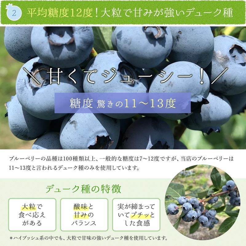 オーガニック冷凍ブルーベリー 3kg (200g×15袋) 無農薬 業務用 有機JAS