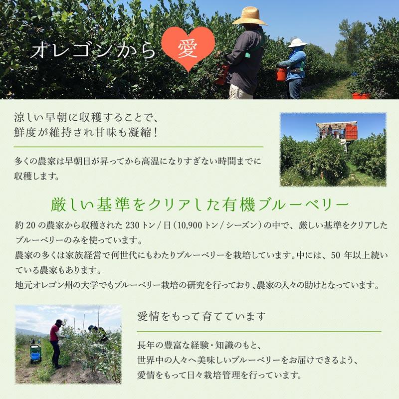 冷凍ブルーベリー 無農薬 3kg (200g×15袋) オーガニック ブルーベリー