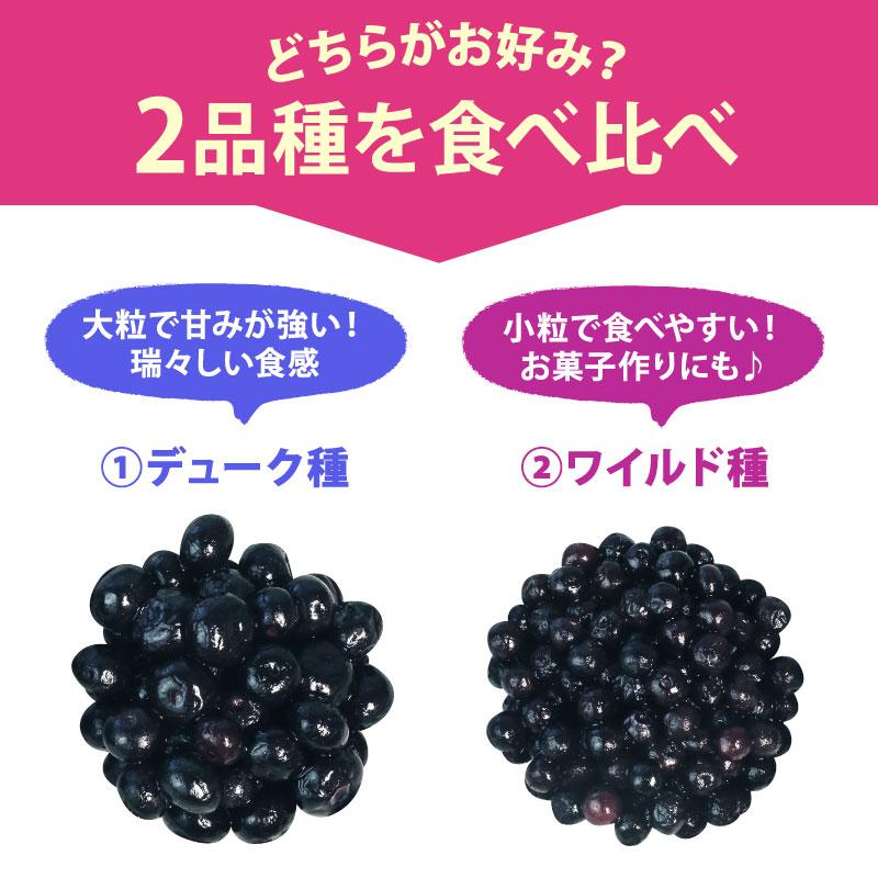 オーガニック冷凍ブルーベリー食べ比べセット800g（合計200g×4袋