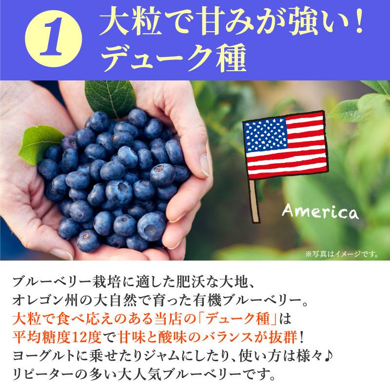 オーガニック冷凍ブルーベリー食べ比べセット800g（合計200g×4袋