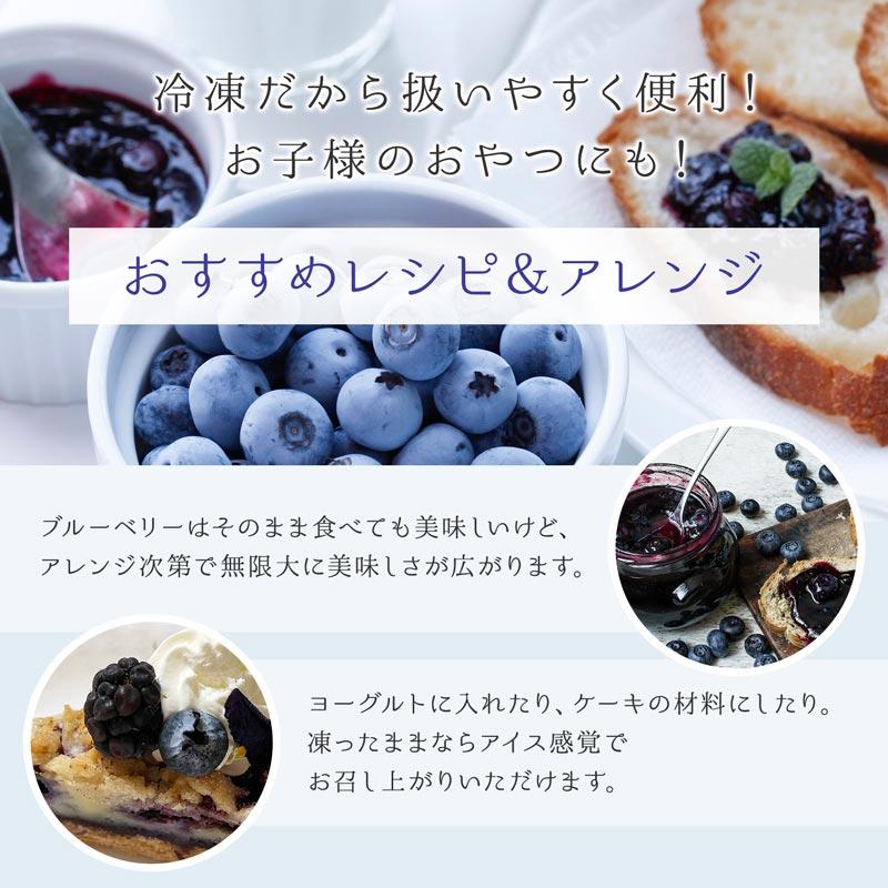 オーガニック冷凍ブルーベリー食べ比べセット800g（合計200g×4袋