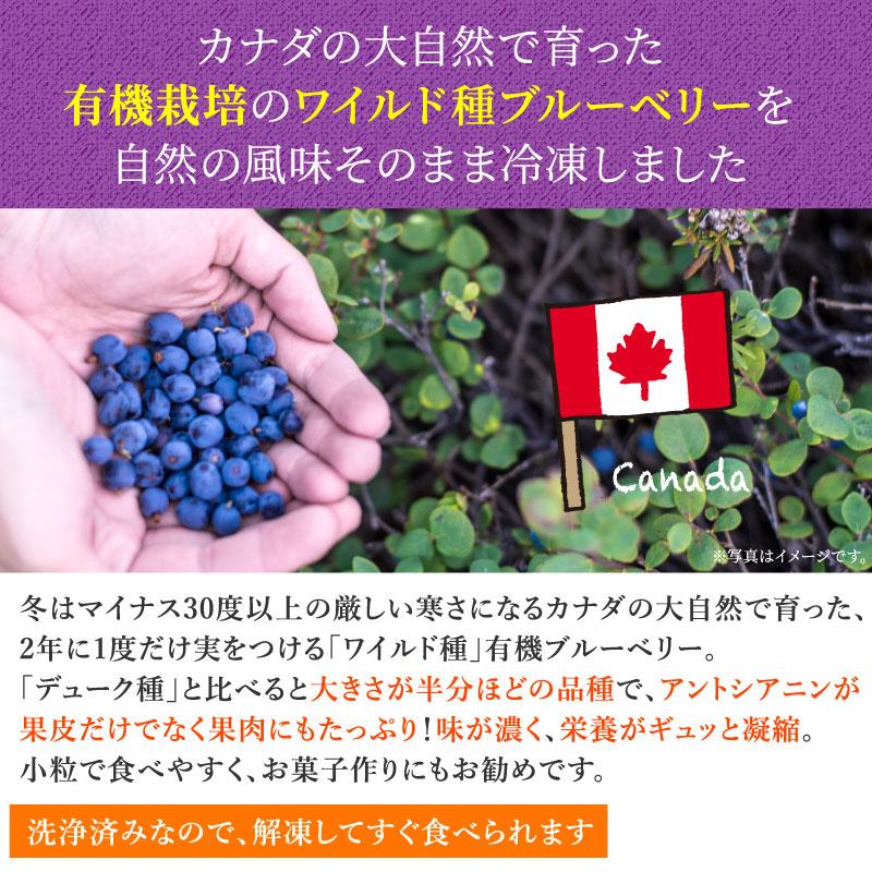 オーガニック冷凍ブルーベリー ワイルド種 4kg(200g×20袋) 無 オーガニック冷凍ブルーベリー ワイルド種 4kg(200g×20袋) 無