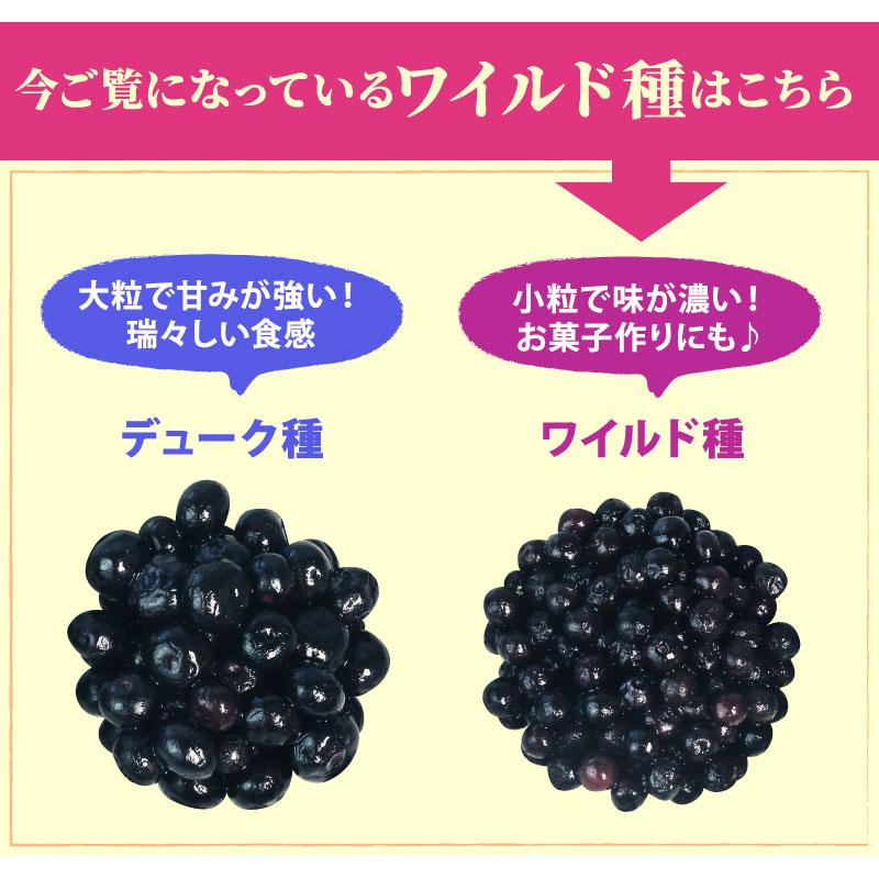 オーガニック冷凍ブルーベリー ワイルド種 4kg(200g×20袋) 無 オーガニック冷凍ブルーベリー ワイルド種 4kg(200g×20袋) 無