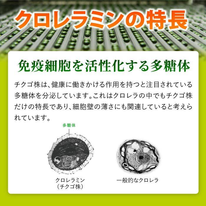 クロレラミン 2000粒 健康食品 クロレラ サプリメント CVE 国産 