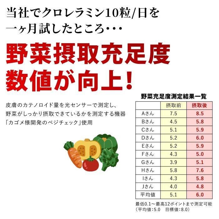 クロレラミン 2000粒 健康食品 クロレラ サプリメント CVE 国産 クロレラミン 2000粒 栄養サプリメント