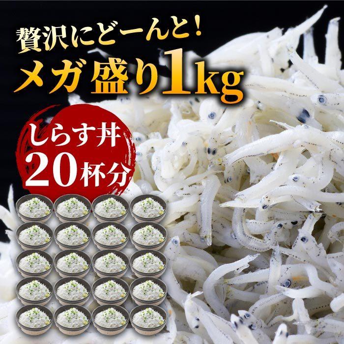 静岡県産 釜揚げしらす［特A品質］1kg（250g×4）しらす シラス 釜揚げ 無添加 無漂白 冷凍 用宗港 静岡 駿河湾 送料無料｜daigounagi｜03