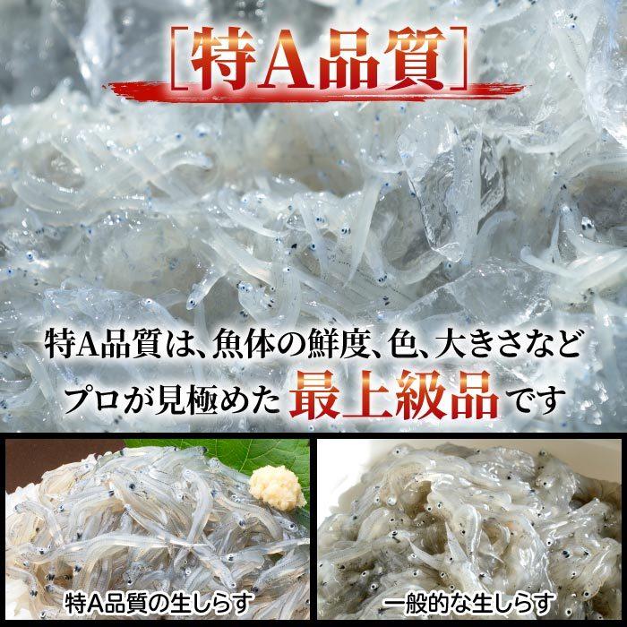 静岡県産 釜揚げしらす［特A品質］1kg（250g×4）しらす シラス 釜揚げ 無添加 無漂白 冷凍 用宗港 静岡 駿河湾 送料無料｜daigounagi｜04