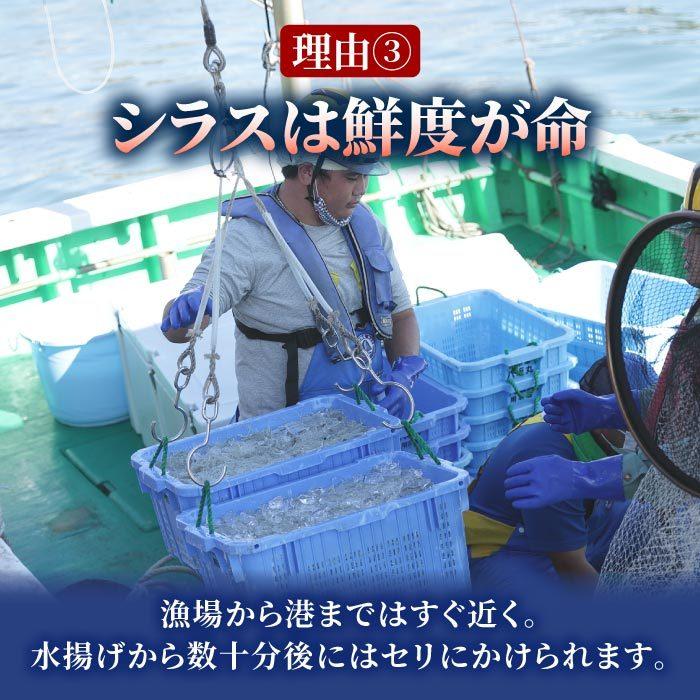 静岡県産 釜揚げしらす［特A品質］1kg（250g×4）しらす シラス 釜揚げ 無添加 無漂白 冷凍 用宗港 静岡 駿河湾 送料無料の画像