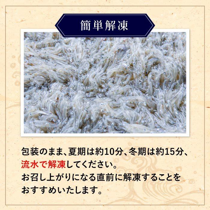 静岡県産 生しらす1kg（100g×10） しらす シラス 生シラス 冷凍 用宗港 駿河湾 静岡 静岡県 生しらす丼 メガ盛り 業務用｜daigounagi｜13