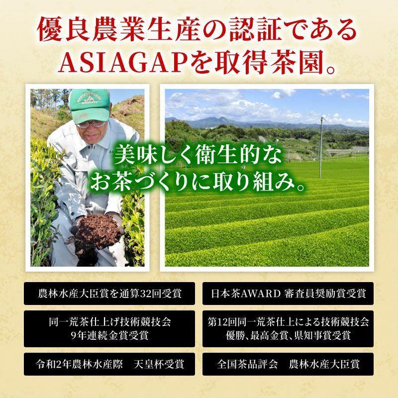 お徳用 掛川深蒸し緑茶（紫）100g×6袋 緑茶 お茶 静岡茶 煎茶 深蒸し茶 掛川茶 まとめ買い 業務用 大容量 お得 送料無料｜daigounagi｜07