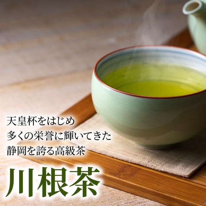 お徳用 掛川茶と川根茶 6袋 (各100g×3袋) 飲み比べセット 緑茶 お茶