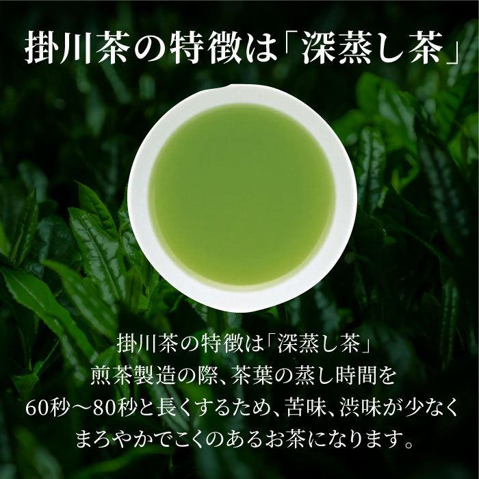 お徳用 掛川深蒸し緑茶（紫）100g×12袋 緑茶 お茶 静岡茶 煎茶 深蒸し茶 掛川茶 まとめ買い お得 送料無料｜daigounagi｜03