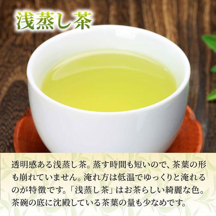 お徳用 掛川茶と川根茶 12袋 (各100g×6袋) 飲み比べセット 緑茶 お茶