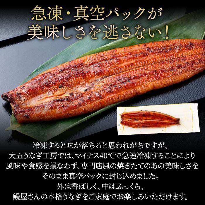 うなぎ蒲焼き 長蒲焼 (小) 1尾 内祝い お祝い ギフト プレゼント 国産 うなぎ 鰻 ウナギ 送料無料｜daigounagi｜08