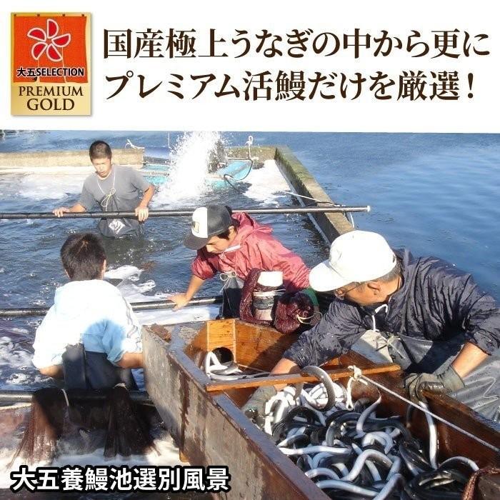 国産うなぎ 蒲焼き 長蒲焼（大）2尾＆カット蒲焼2枚セット 鰻 ウナギ プレゼント 贈答 内祝い 贈り物 グルメ 高級 大きめ 送料無料｜daigounagi｜10