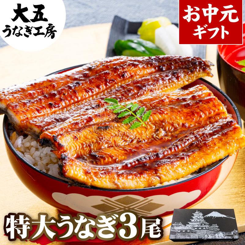 ギフト 国産うなぎ 長蒲焼(特大)3尾 内祝い お祝い プレゼント 食べ物 鰻 ウナギ 3人前 高級 冷凍 グルメ お返し 60代 70代 80代 爆買 | 大五うなぎ工房
