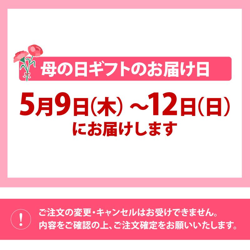 母の日 プレゼント ギフト 手まりおこわ「彩華」 母の日包装 そぼろおこわ 帆立おこわ かに うなぎ 鰻 国産 お祝い グルメ 食べ物 60代 70代 80代｜daigounagi｜14