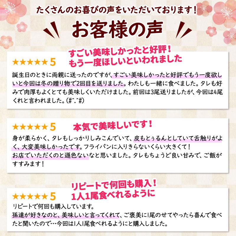 母の日ギフト2024 国産うなぎ 長蒲焼4尾 ギフト 鰻 ウナギ 蒲焼き 蒲焼 4人前 内祝い 誕生日 お祝い プレゼント 食べ物 贈り物 グルメ 送料無料｜daigounagi｜05