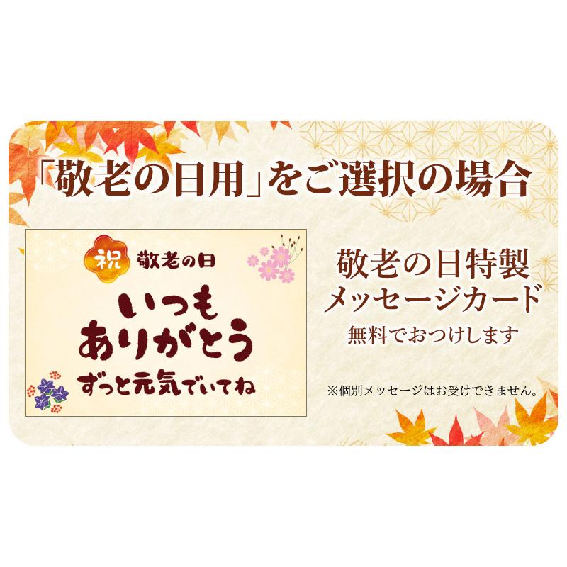 敬老の日 プレゼント 国産うなぎ ひとくち蒲焼 10パックセット 静岡茶プレゼント ギフト 80代 90代 ウナギ うなぎ 鰻 国産｜daigounagi｜11