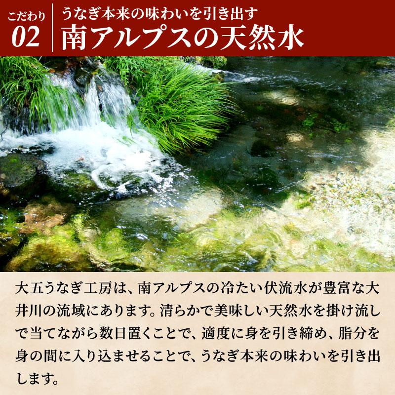 国産うなぎ長蒲焼 特大サイズ5尾セット ご家庭用 うなぎ ウナギ 鰻 蒲焼 5人前 お取り寄せ グルメ 食べ物 簡易箱_6