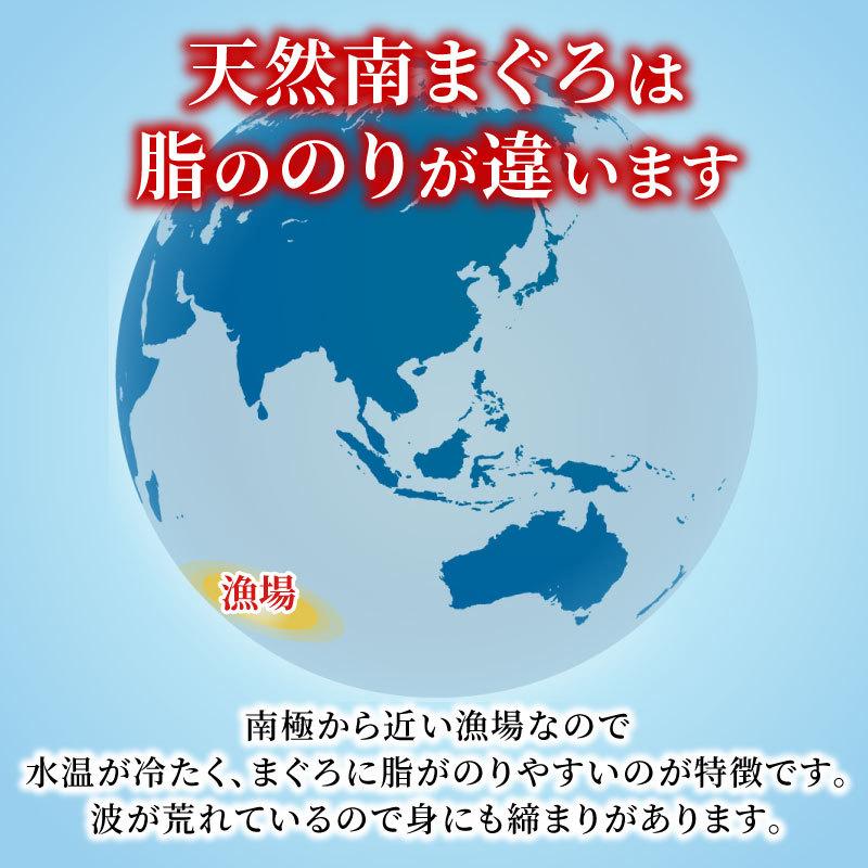 天然南マグロ三昧 650gセット［大トロ柵／中トロ柵／赤身柵／たたき］ 冷凍 マグロ ミナミマグロ インドマグロ インド鮪 鮪 まぐろ 刺身 鮮魚｜daigounagi｜12