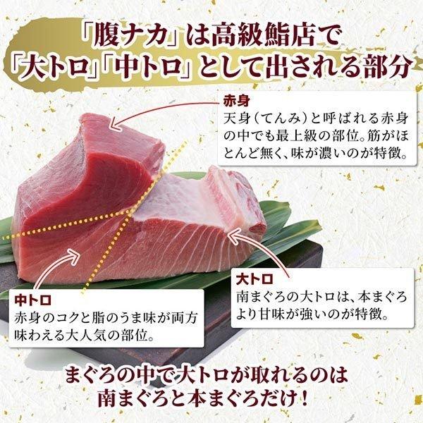 【訳あり】天然南マグロ大トロ付きブロック500g 冷凍 ミナミマグロ インドマグロ インド鮪 まぐろ 鮪 刺身 大トロ 中トロ 赤身 天身 送料無料｜daigounagi｜07