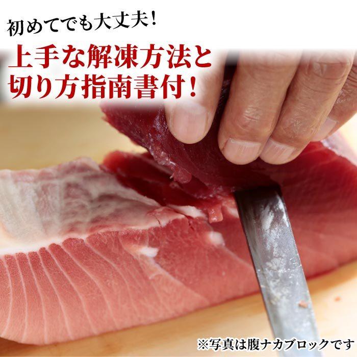 【訳あり】天然南マグロ背ブロック500g 冷凍 ミナミマグロ インドマグロ インド鮪 まぐろ 鮪 刺身 中トロ 背トロ 赤身 天身 送料無料 ...