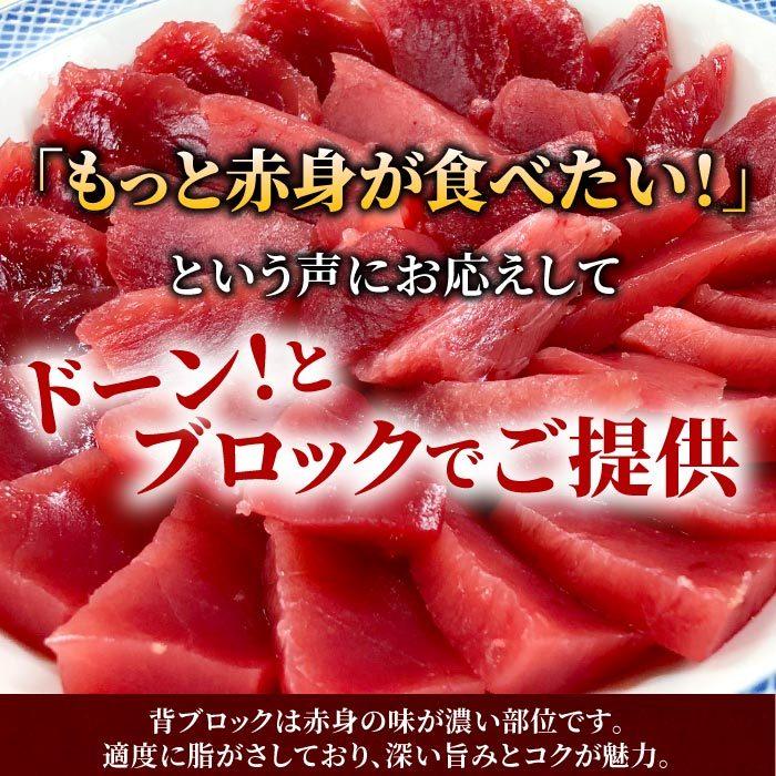 【訳あり】天然南マグロ背ブロック500g 冷凍 ミナミマグロ インドマグロ インド鮪 まぐろ 鮪 刺身 中トロ 背トロ 赤身 天身 送料無料 ...