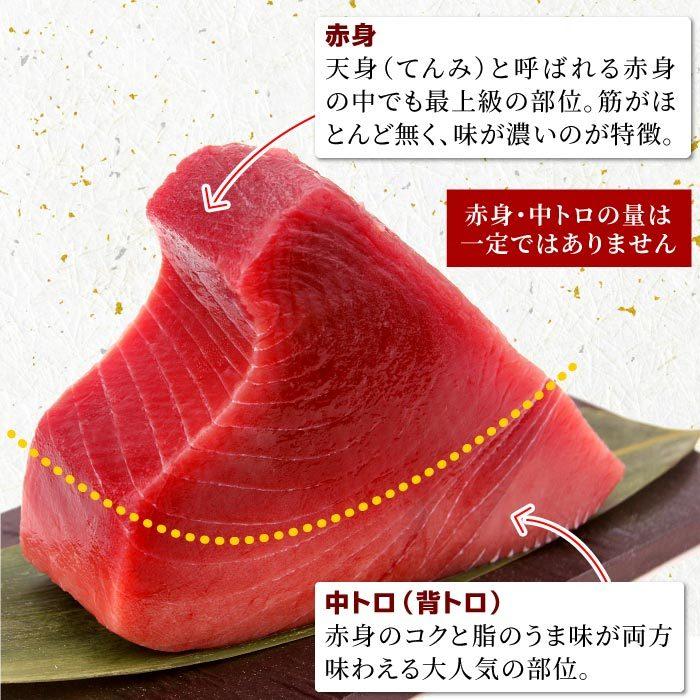 【訳あり】天然南マグロ背ブロック500g 冷凍 ミナミマグロ インドマグロ インド鮪 まぐろ 鮪 刺身 中トロ 背トロ 赤身 天身 送料無料 ...